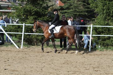 Bild 1030 - WBO-Turnier am 9.4.11